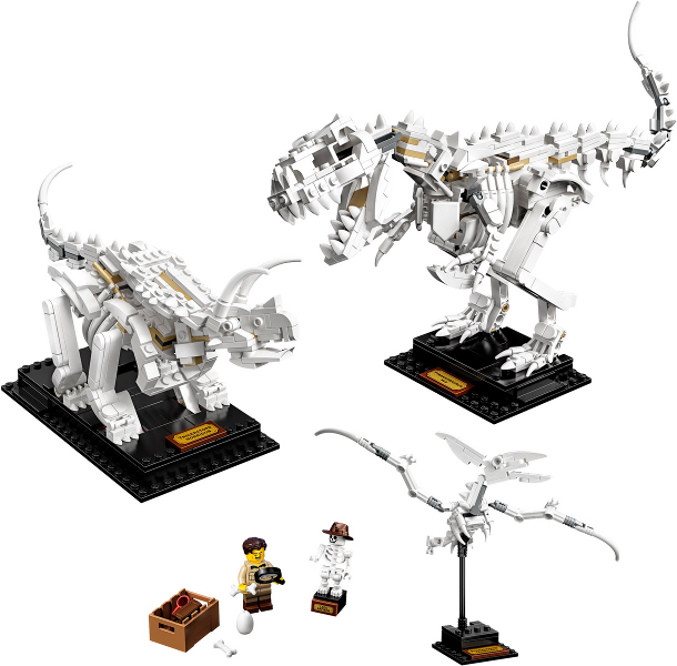 LEGO 21320 Dinosaur Fossils