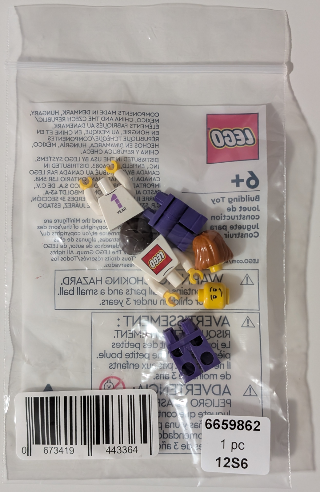 LEGO 6659862 LEGO Store 1st Anniversary Exclusive Set