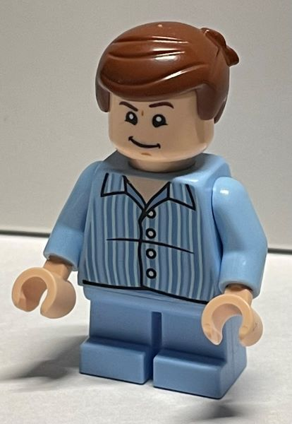 LEGO 76390-7 Advent Calendar 2021, Harry Potter (Day  6) - Dudley Dursley