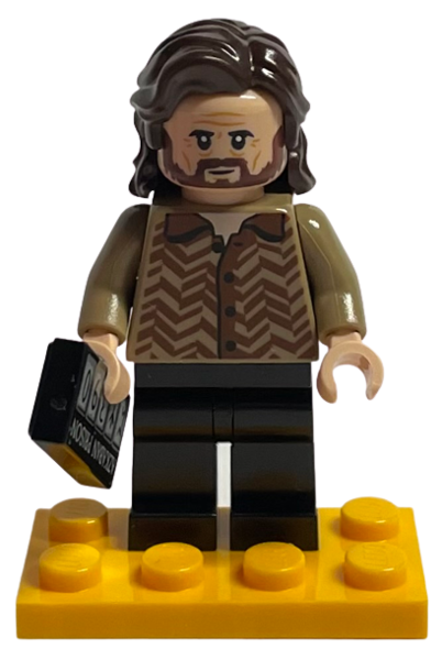 LEGO 76404-10 Advent Calendar 2022, Harry Potter (Day  9) - Sirius Black with Azkaban Plaque
