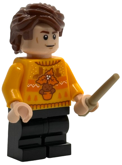 LEGO 76456-23 Advent Calendar 2025, Harry Potter (Day 22) - Cedric Diggory