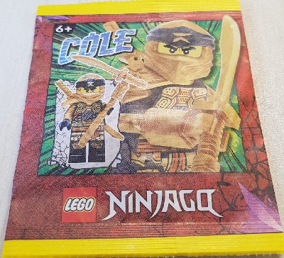 LEGO 892295 Cole  paper bag #1