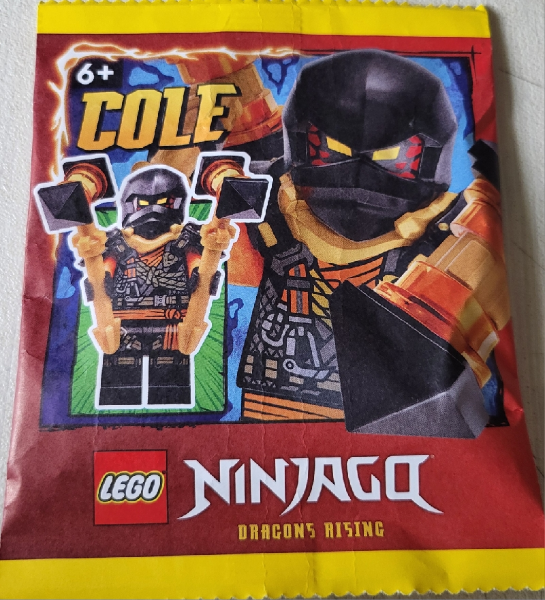 LEGO 892408 Cole paper bag #2