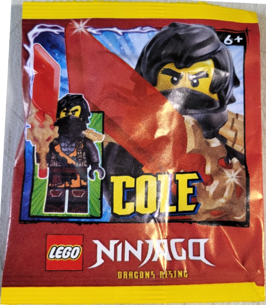 LEGO 892512 Cole paper bag #3